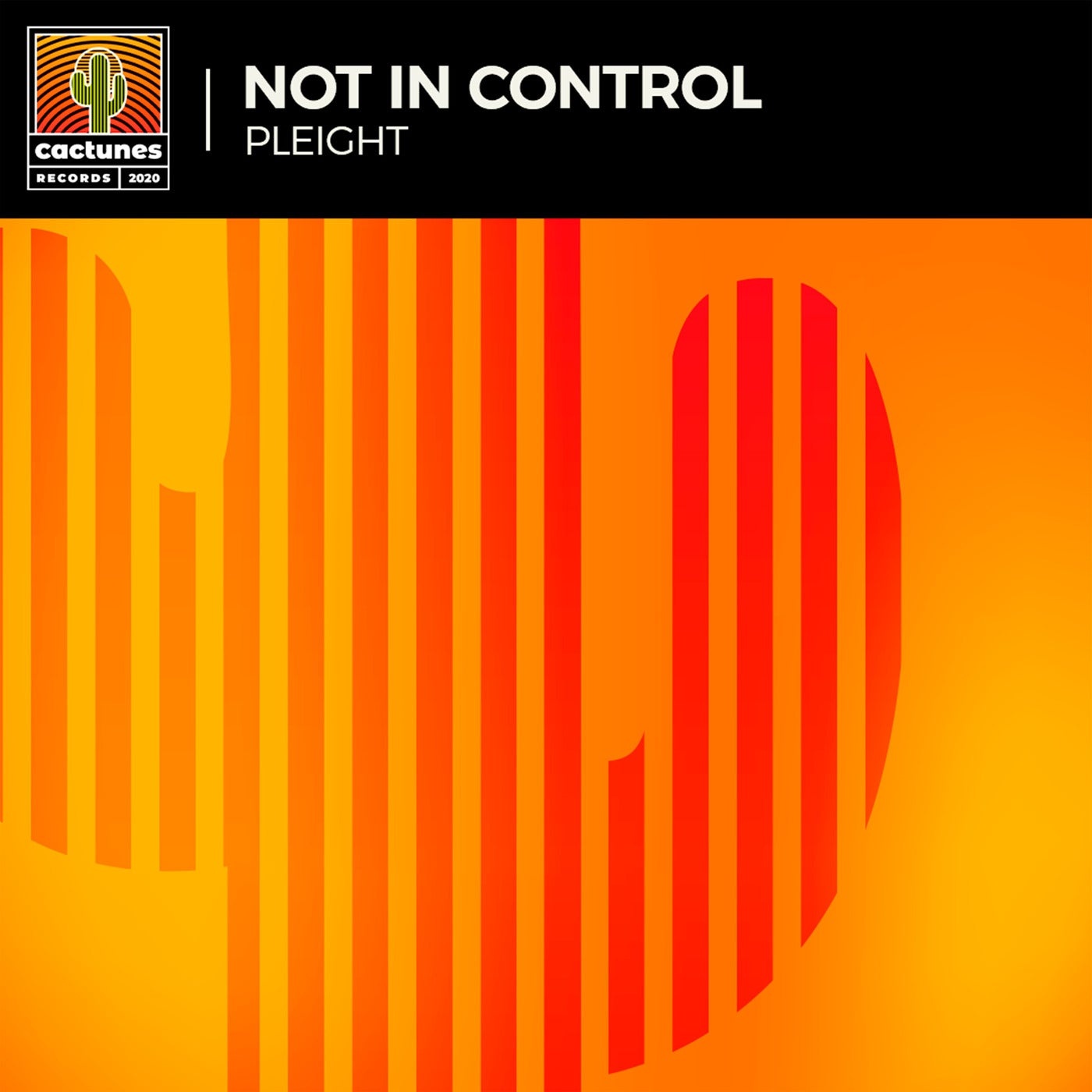 Pleight - Not In Control [904539611901]